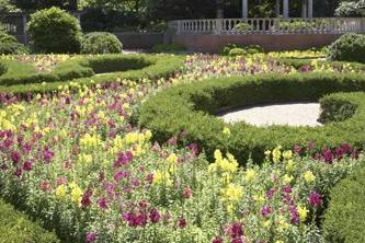 Missouri Botanical Garden