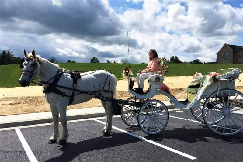 Bride at the helm