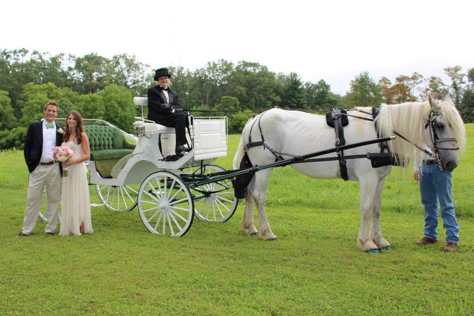Newlyweds by the carriage