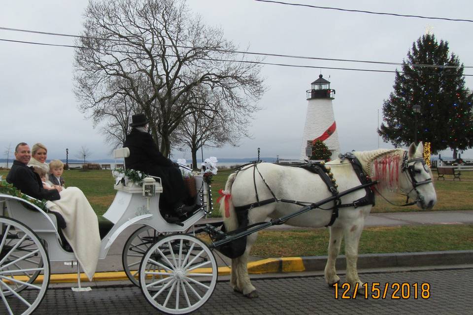 Newlyweds' carriage ride