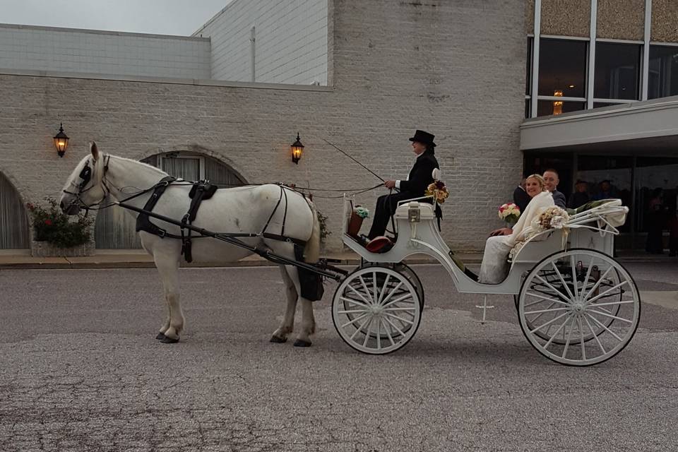 Carriage of the newlyweds