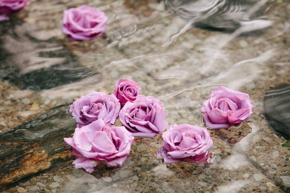 Flowers in fountain