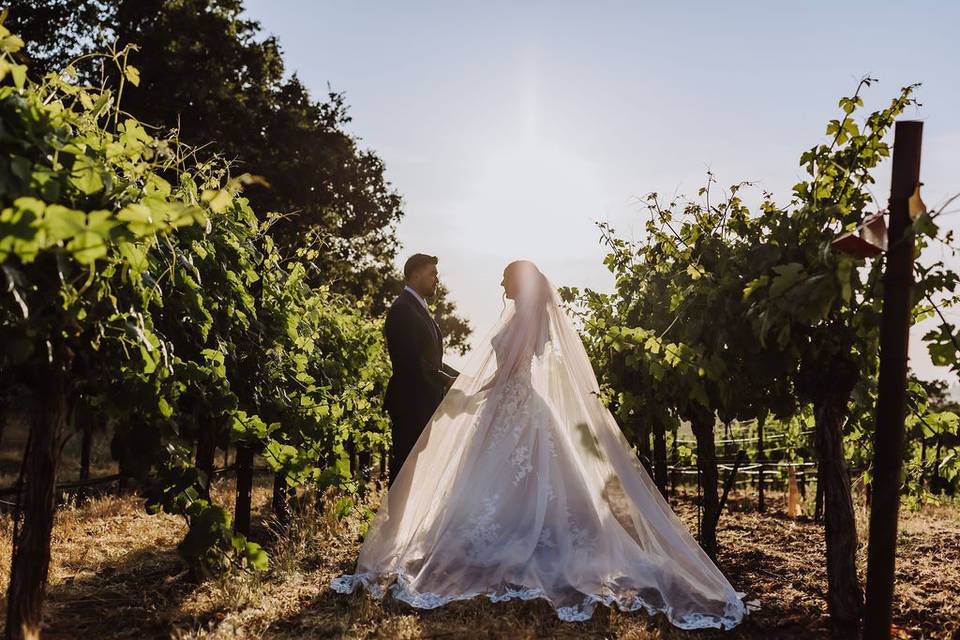 Paradise Ridge Winery