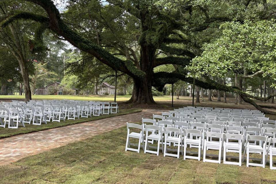 New brick walkway to ceremony