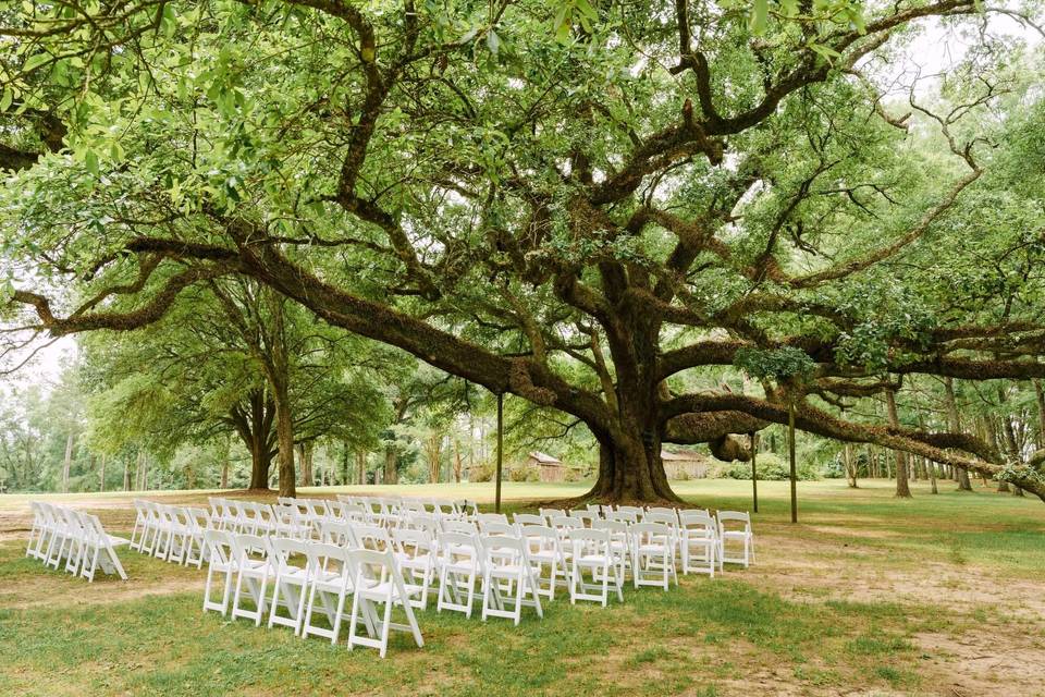 Ceremony seet up