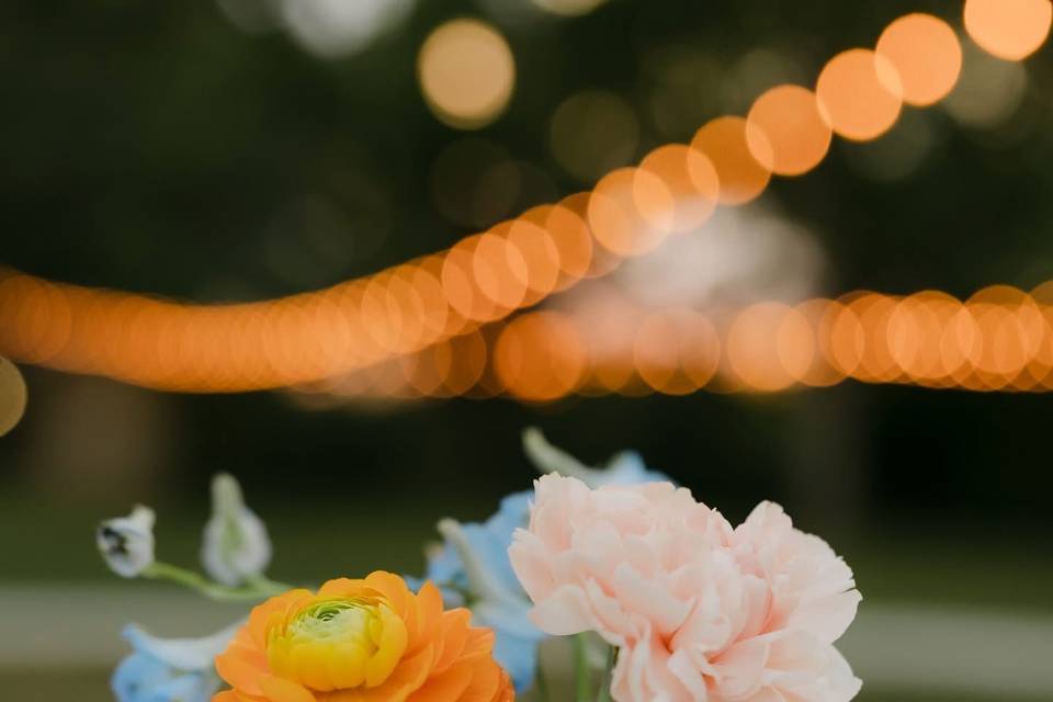 Decor
