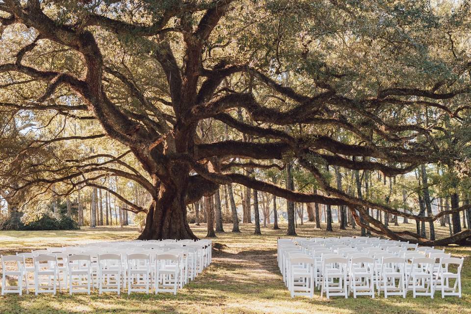 Ceremony set up