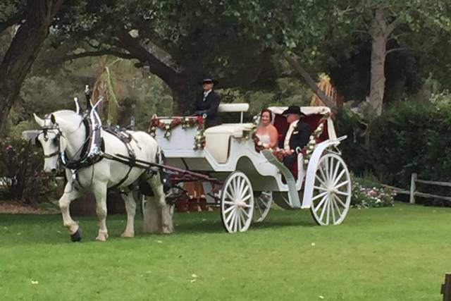 Hazy Meadows Carriage