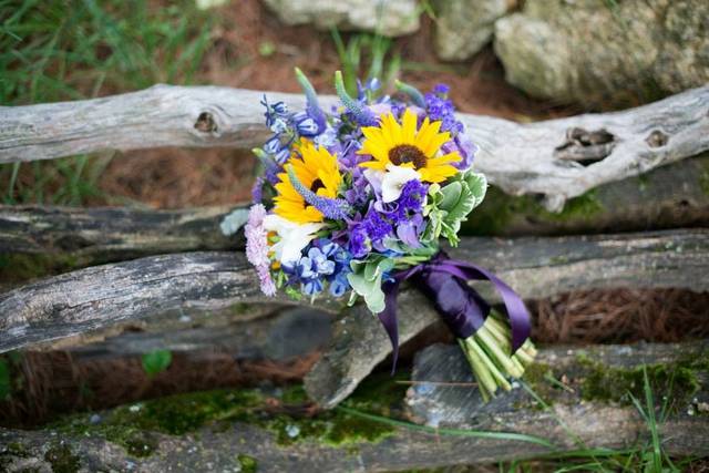 Yellow and violet sunflowers