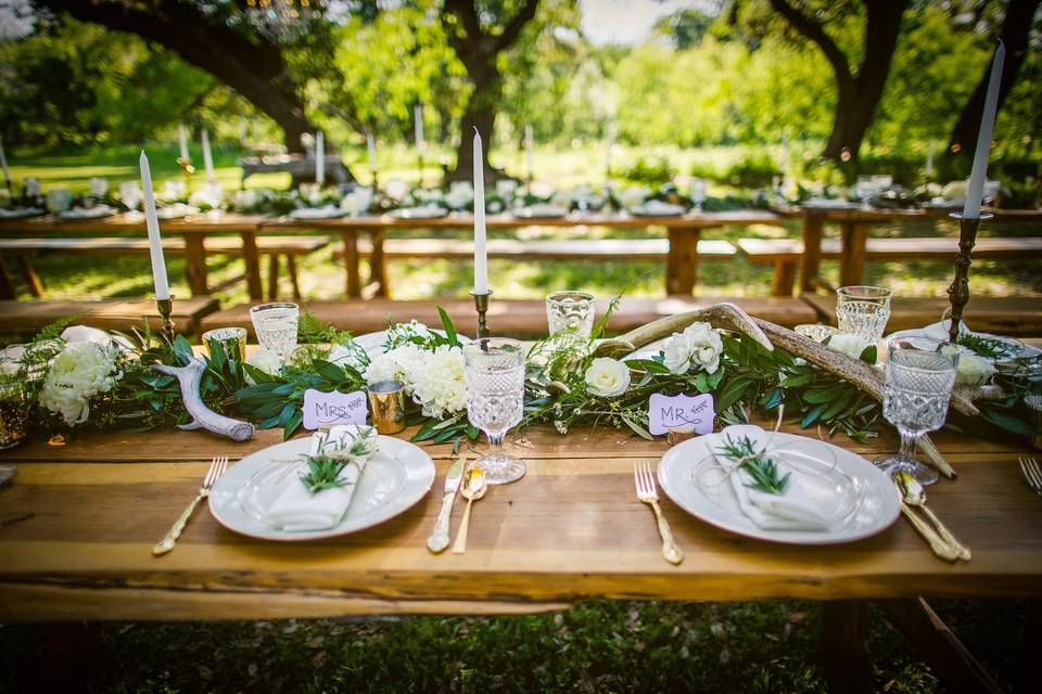 Reception in the Oak Grove