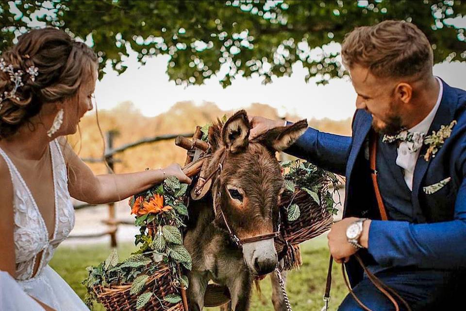 Minatare Donkey with Couple