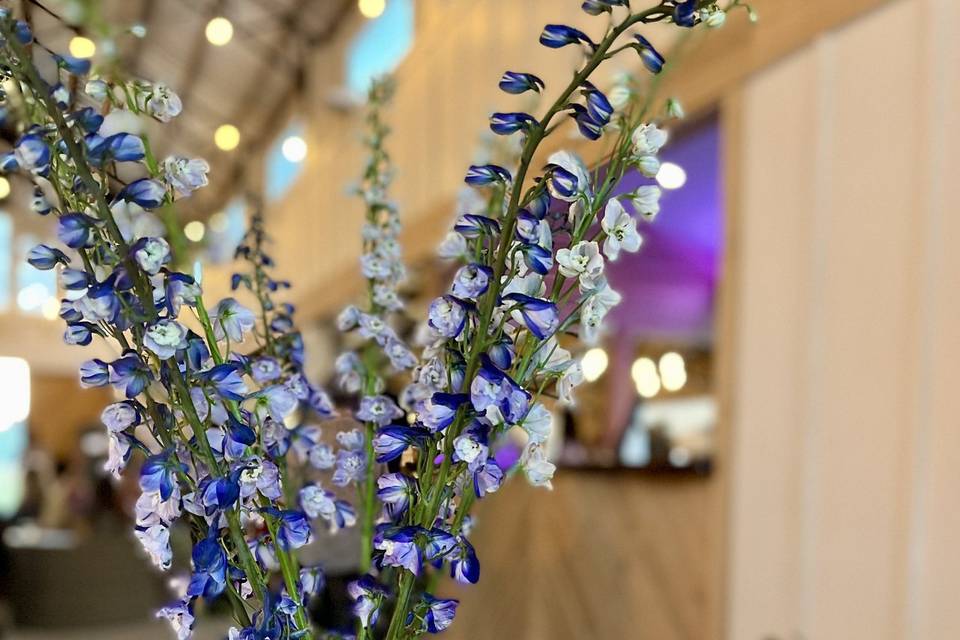 Decor