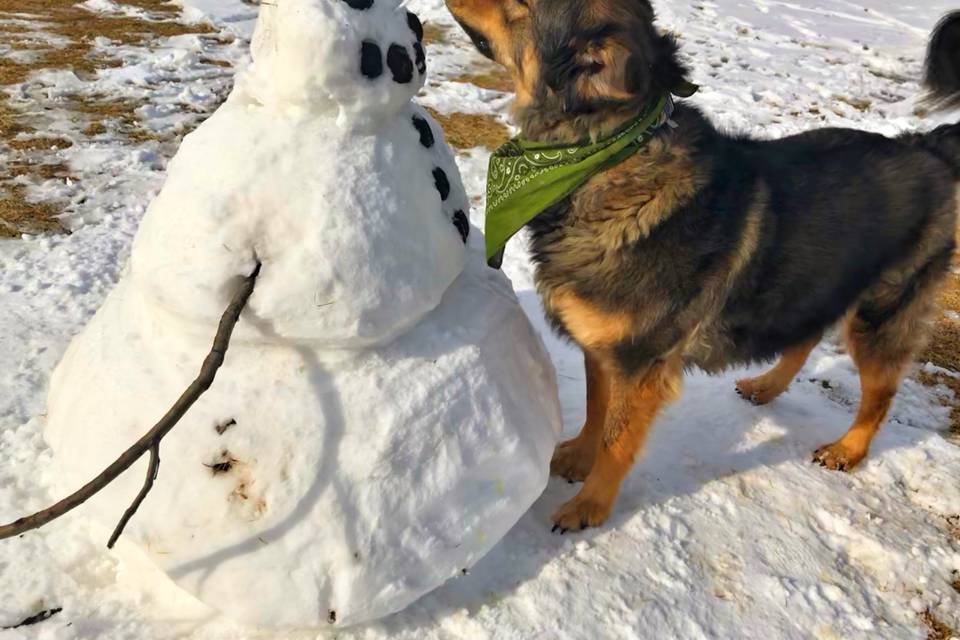 Dioji with a snowman