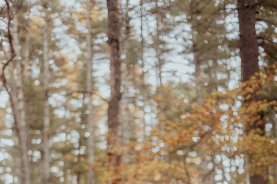 Fall Family shoot