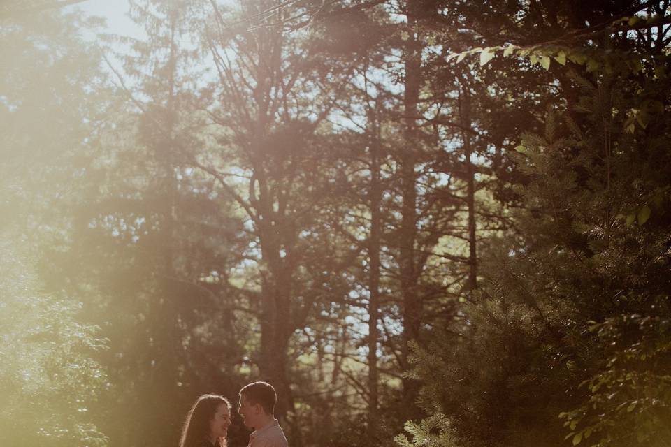Forest engagement shoot