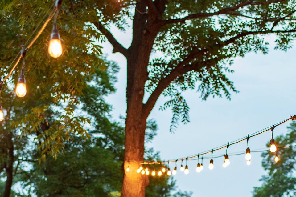 Colorado Elopement