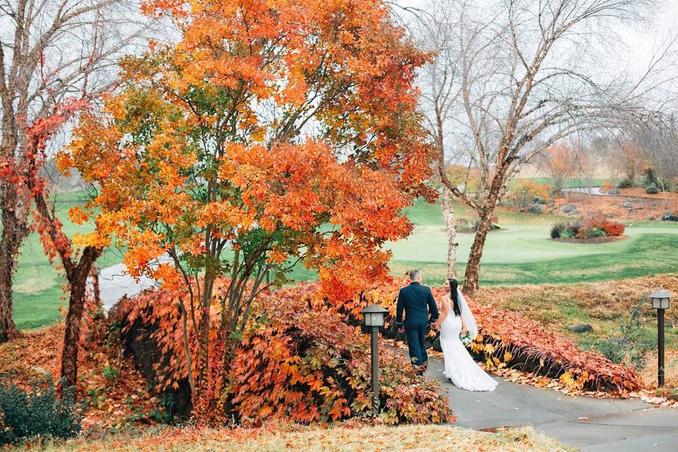 Gorgeous fall leaves