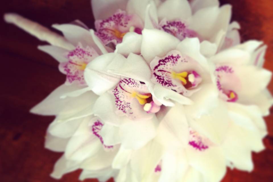 Moth orchid bouquet