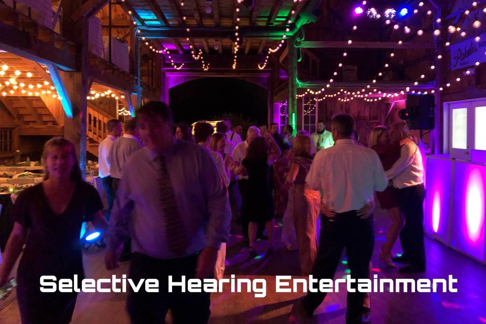 Selective Hearing Entertainment Services