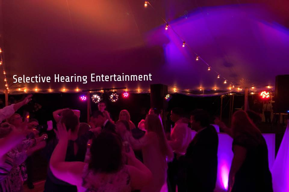 Selective Hearing Entertainment Services