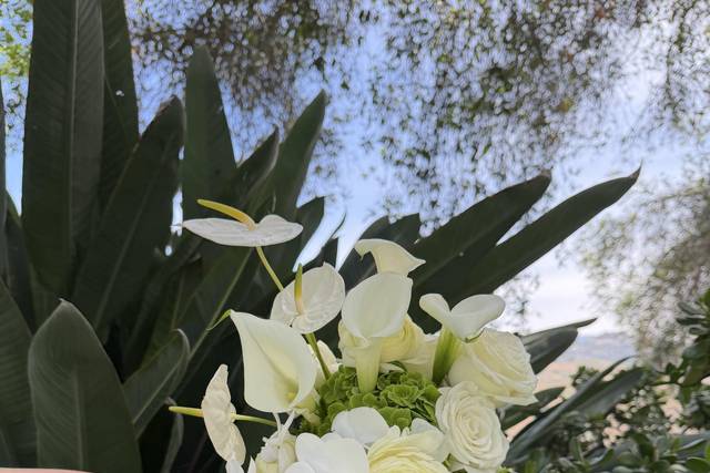 Nicole's Flower Co