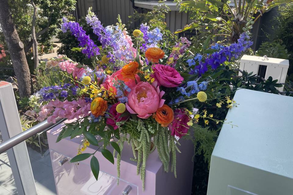 Colorful Arrangement