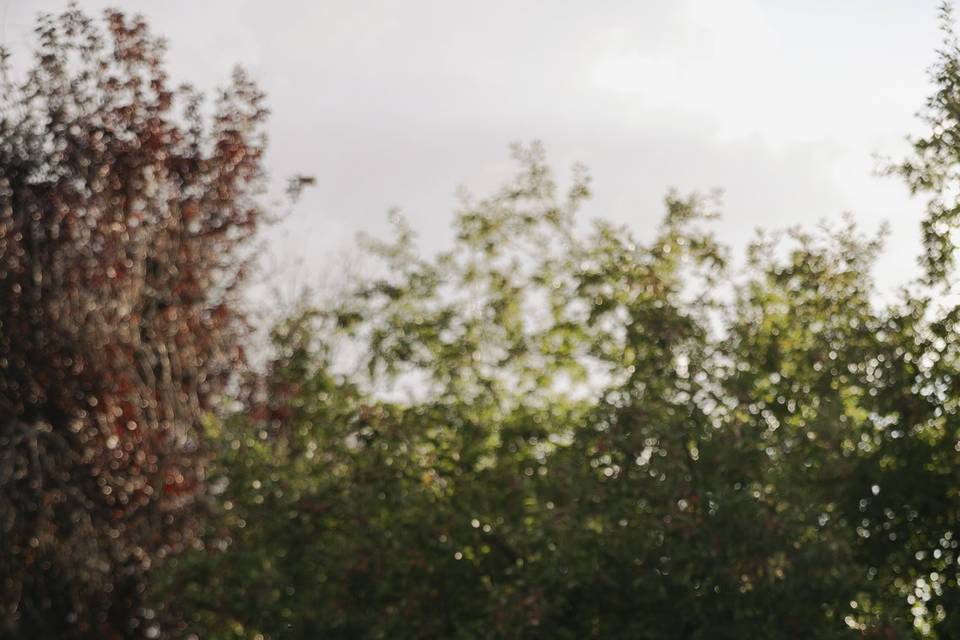 Jeffrey Scott Photos