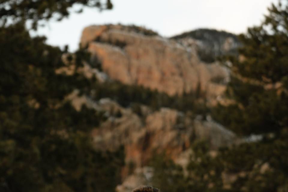 Jeffrey Scott Photos