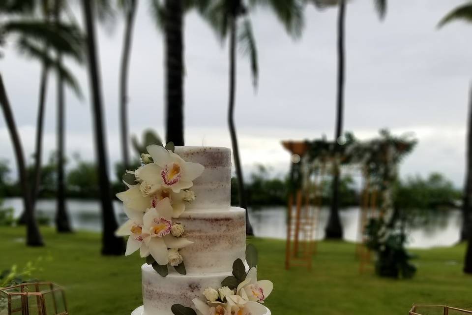 Naked wedding cake