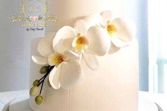 White Sugar Orchids