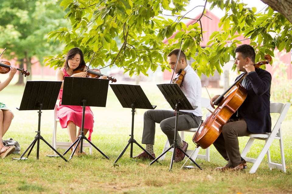 Sunday garden wedding