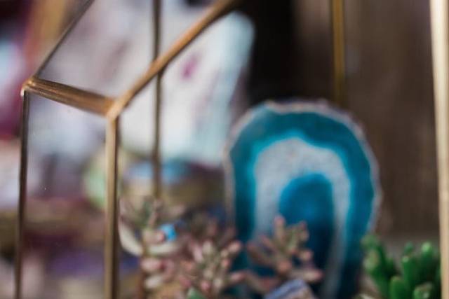 Succulent decor