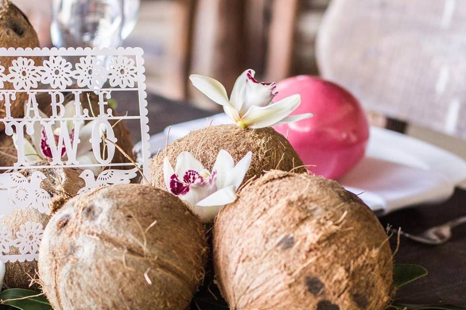 Coconut centerpieces