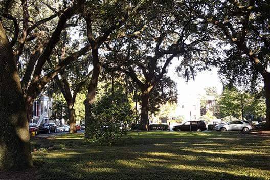 Savannah Wedding Dreams