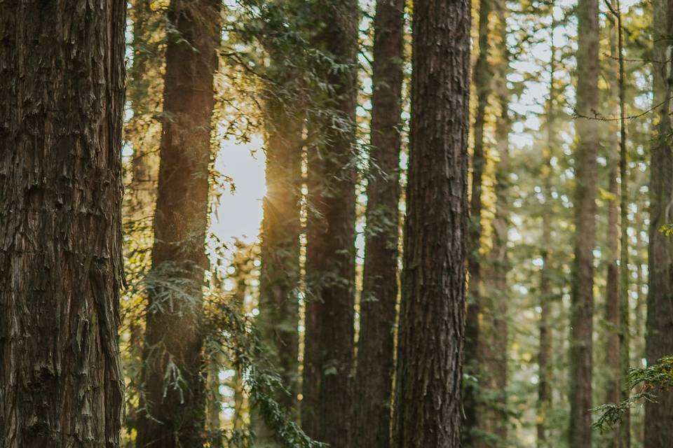 Couple walking