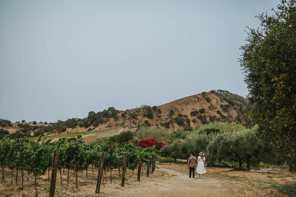 Couple walking vineyards