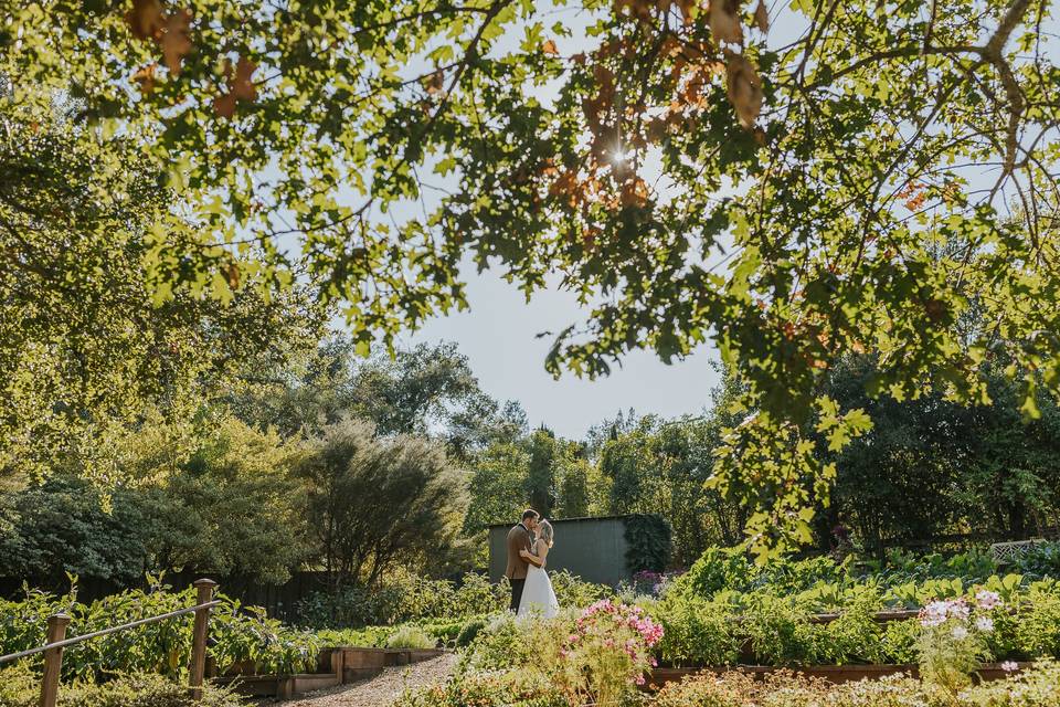 Bride and groom kissing