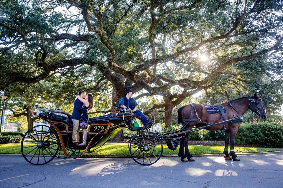 Savannah Engagement