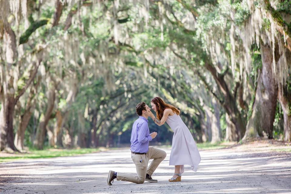 Wormsloe proposal