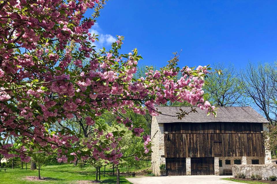 The Federal Barn