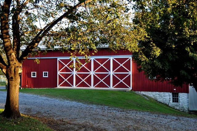 Circle D Farm