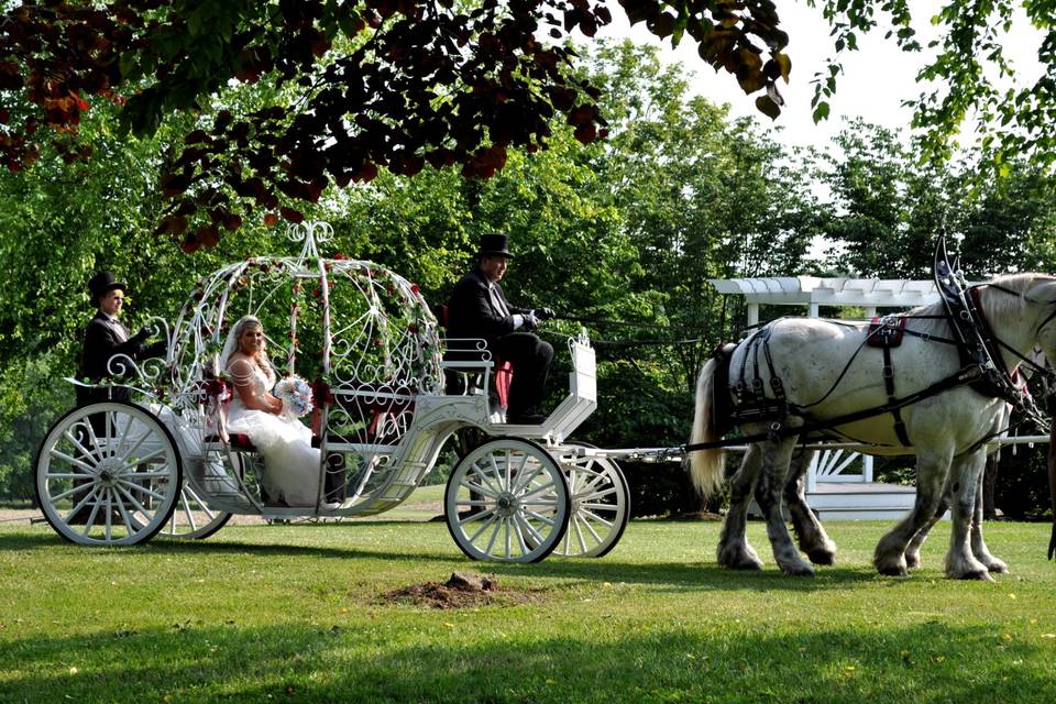 Arriving in a carriage