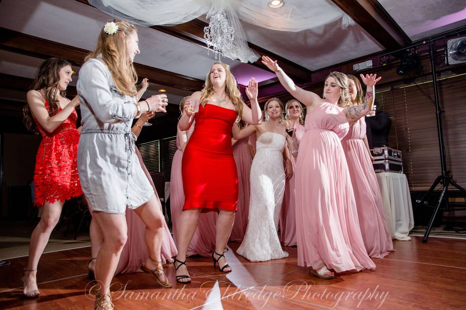 Bride and Bridesmaids