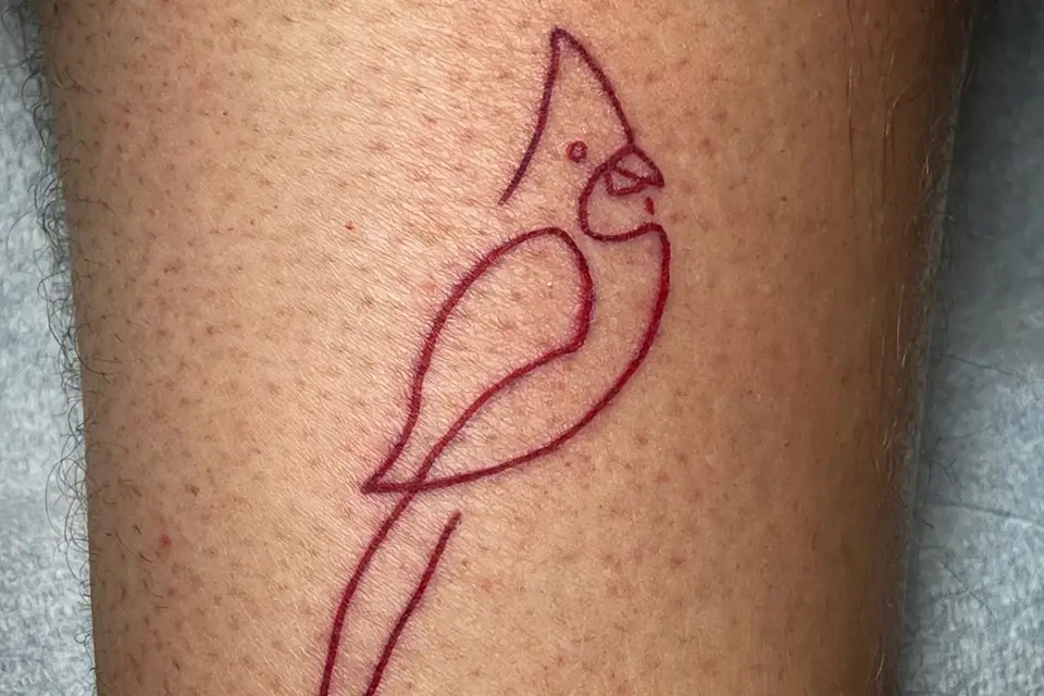 Cardinal tattoo made by Zach Long  The Bell Rose Tattoo  Facebook