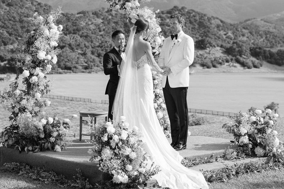Tracy Pacana Photography