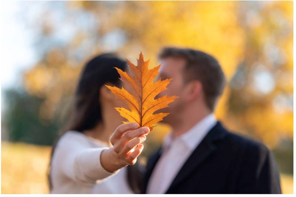 Engagement in Fall