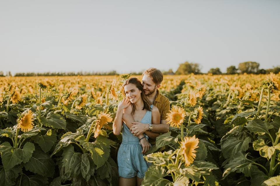 Sunflower couple session