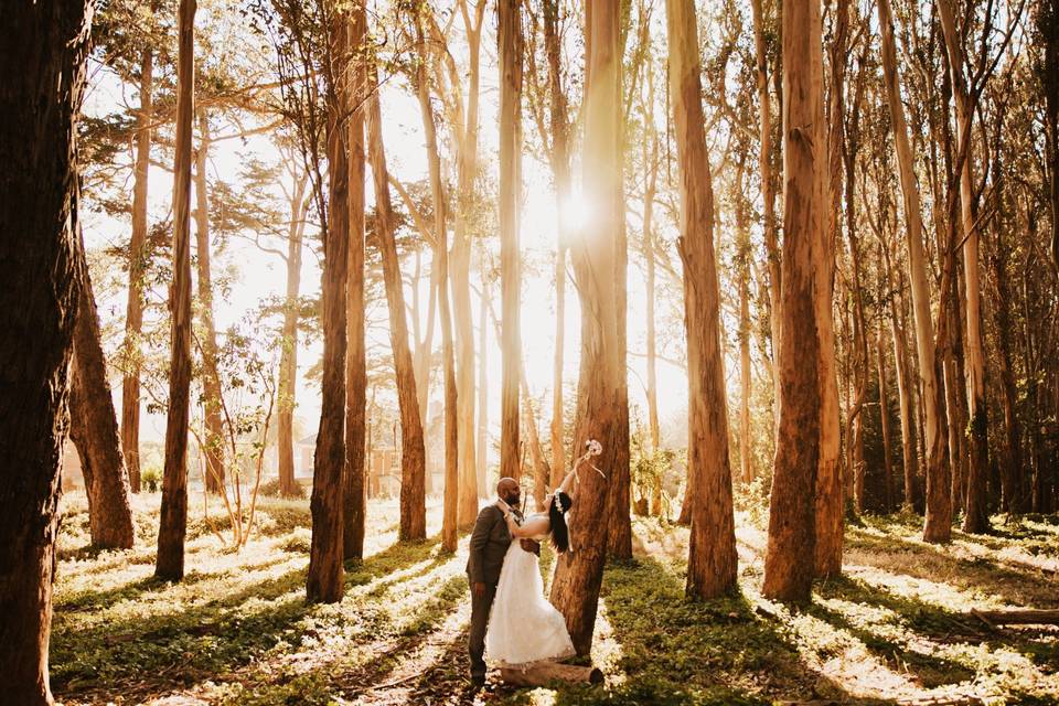 Elopement in the Woods