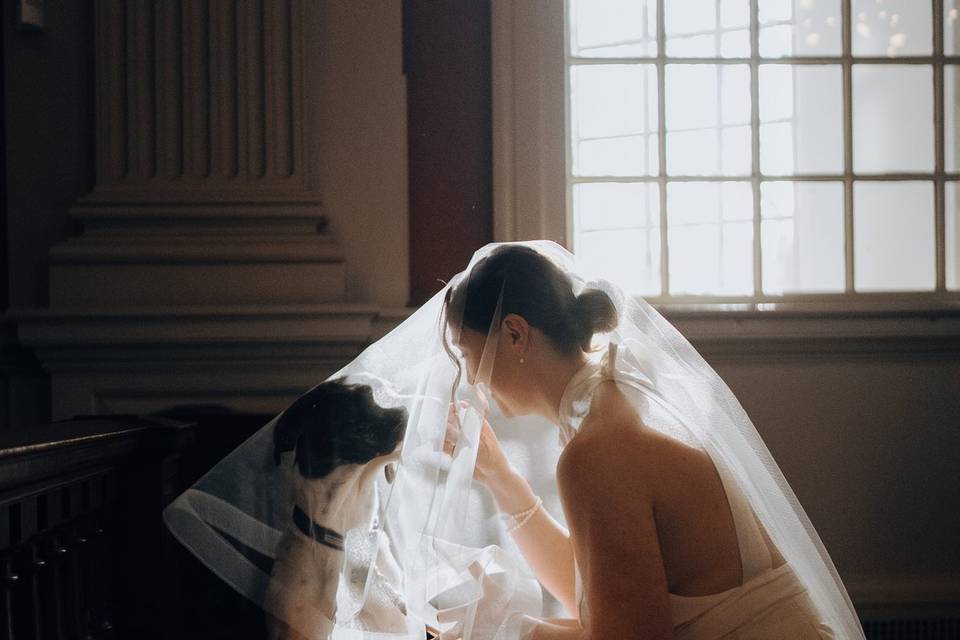 Cinematic Documentary Wedding