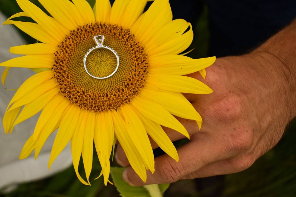 TAYLER DESUTTER PORTRAITS